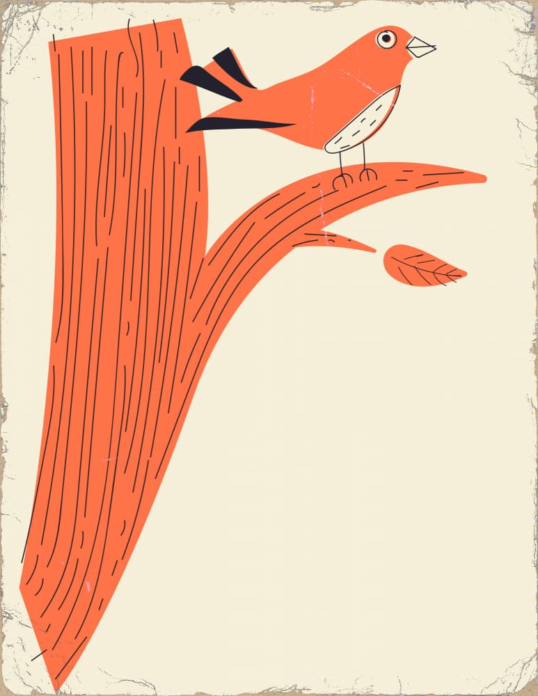 Charming Orange Bird Branch by Nicholas — canvas wall art