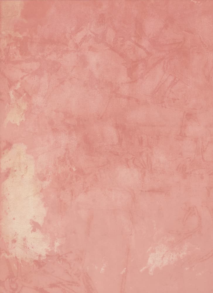Blush Pink Distressed Texture by Mareike Böhmer — canvas wall art