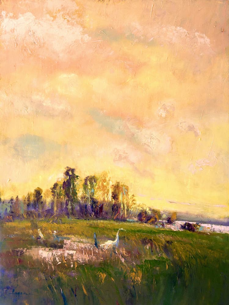 Sunlit Meadowscape by Dorothy Fagan — canvas wall art