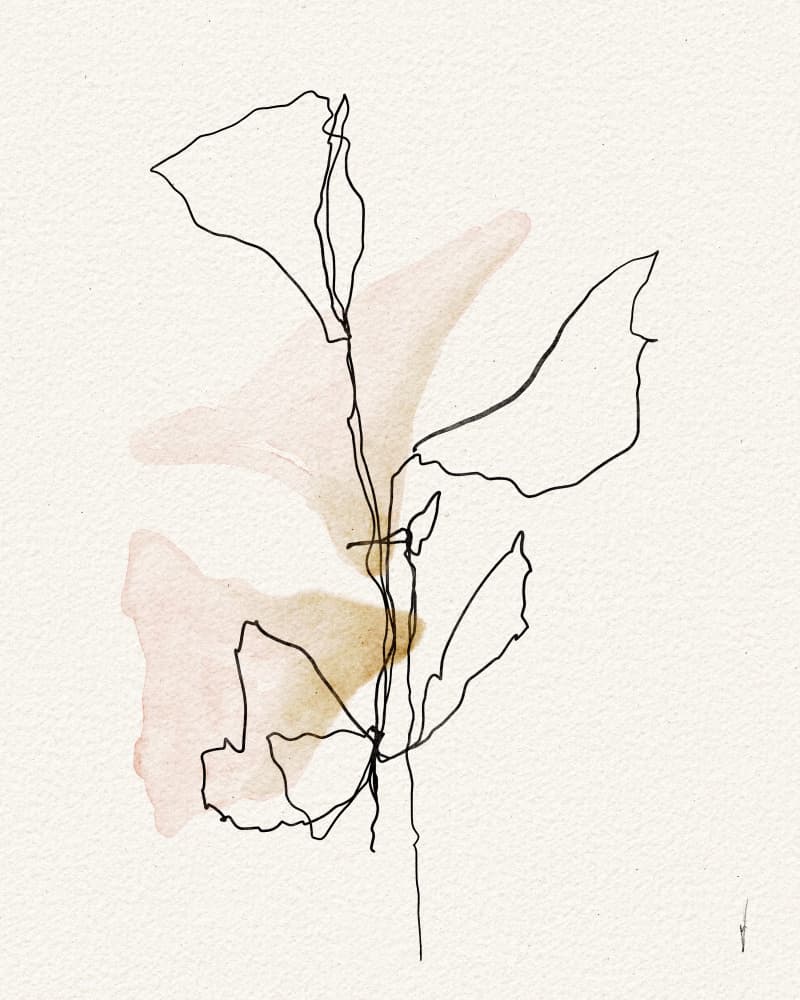 Soft Blush Botanicals