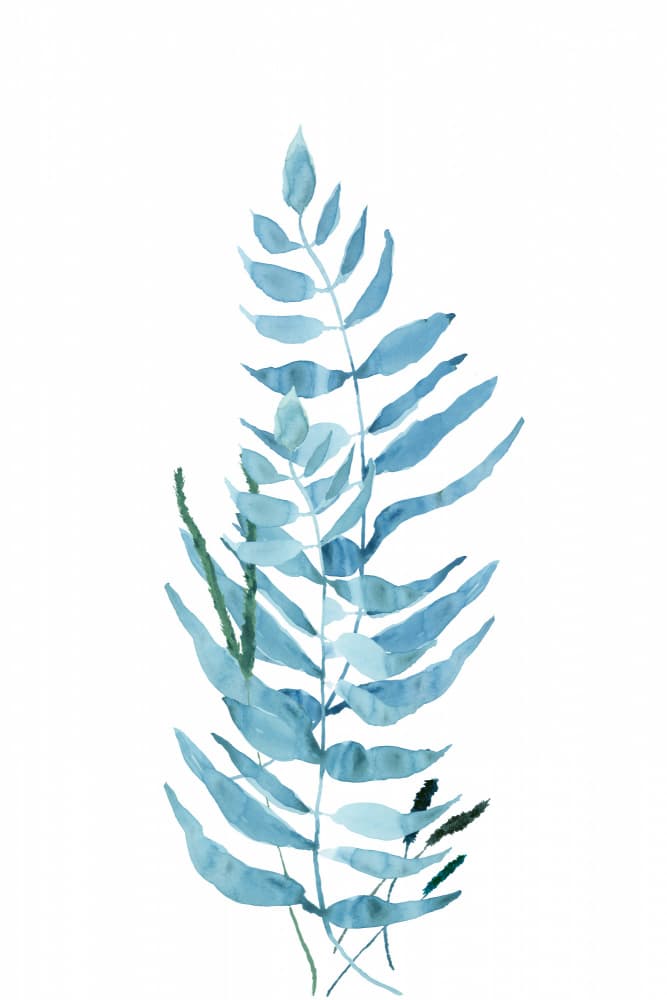 Blue Watercolor Fern by cartissi — canvas wall art
