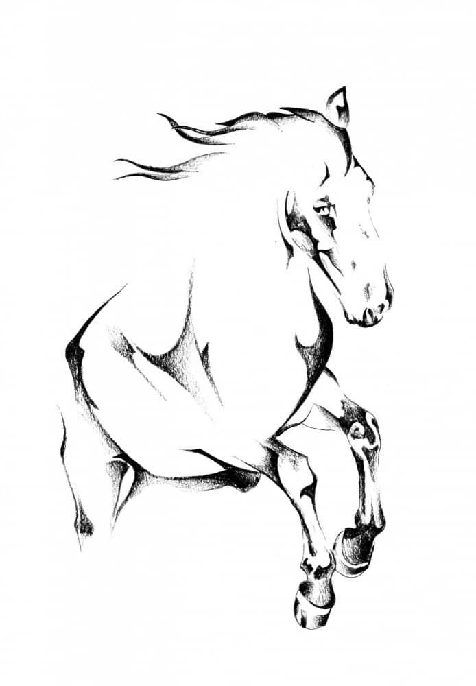 Rearing Wild Horse by Kulik — canvas wall art