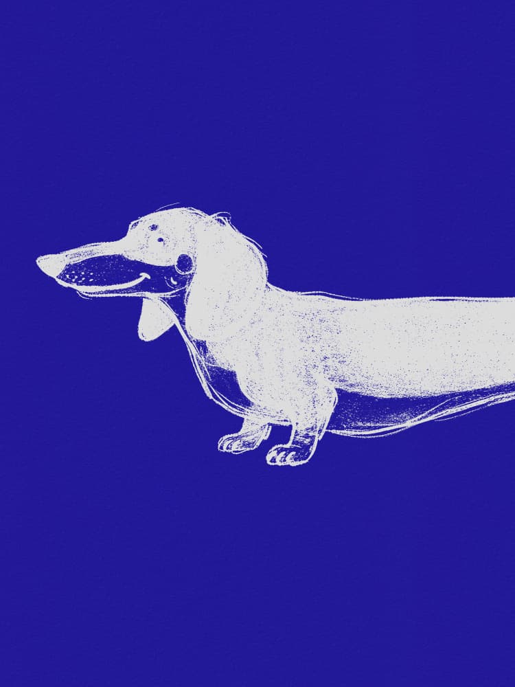 Blue Dachshund Illustration by Andreas Magnusson — canvas wall art