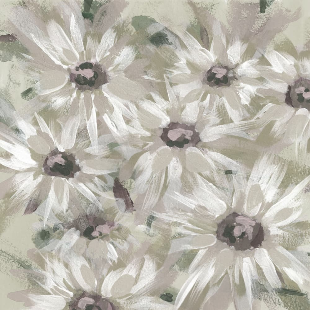 Soft Daisy Blooms by Lori Ann Folz — canvas wall art