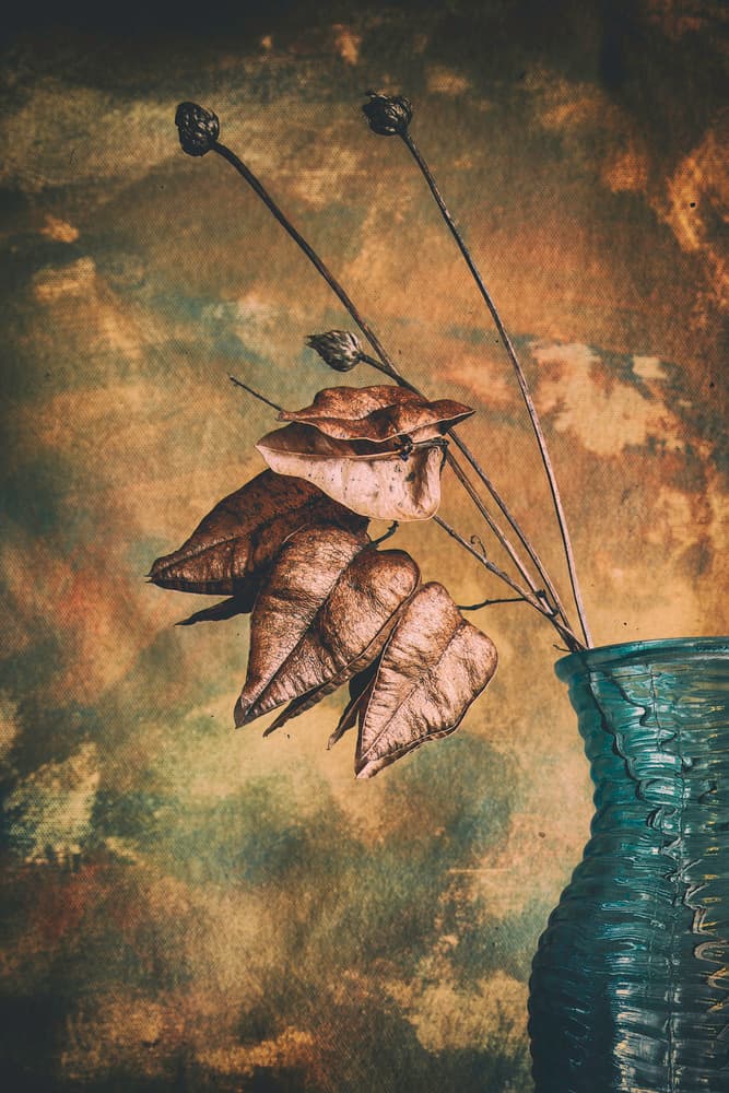 Dried Botanicals Teal Vase by Cicek Kiral — canvas wall art