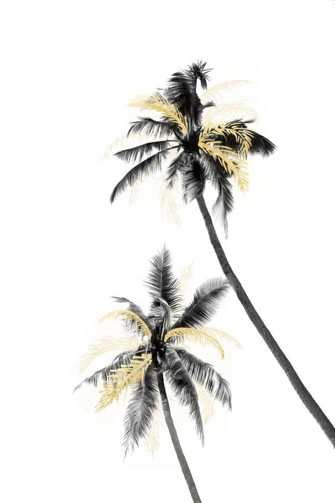 Black and Gold Palms by amini54 — canvas wall art