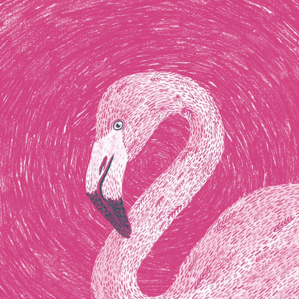 Elegant Pink Flamingo by Martina Scott — canvas wall art