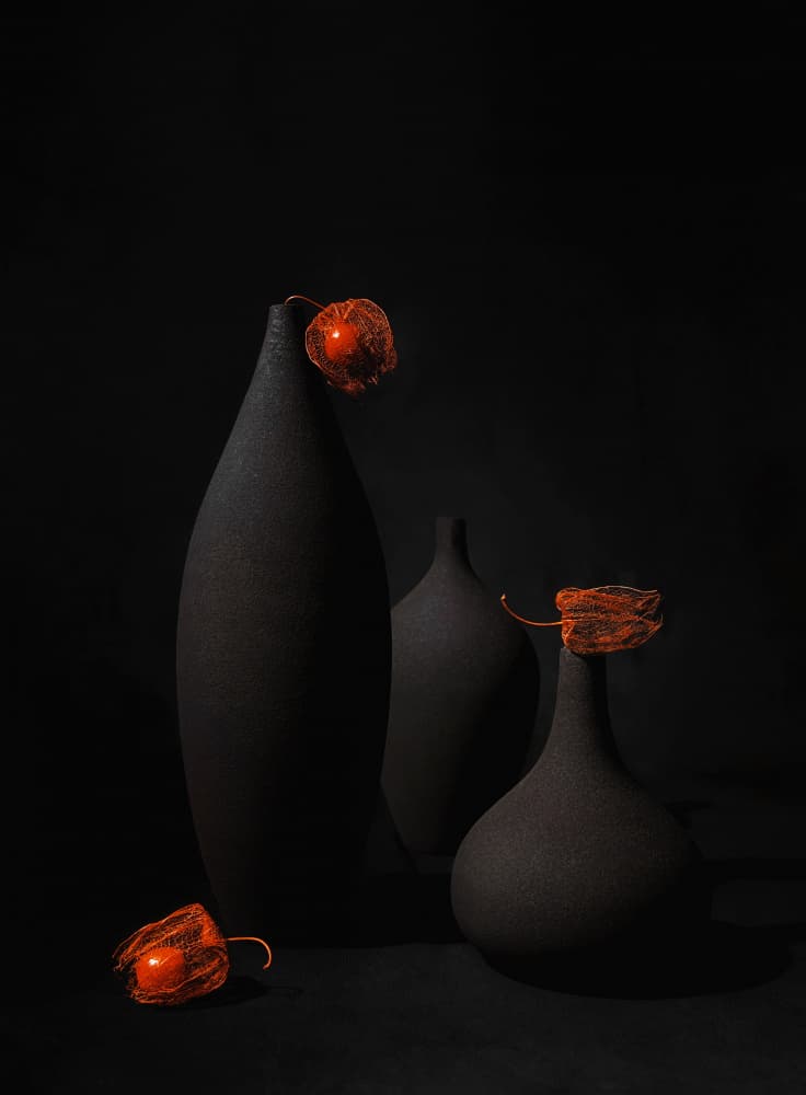 Black Vases Orange Physalis by Leechee Z — canvas wall art
