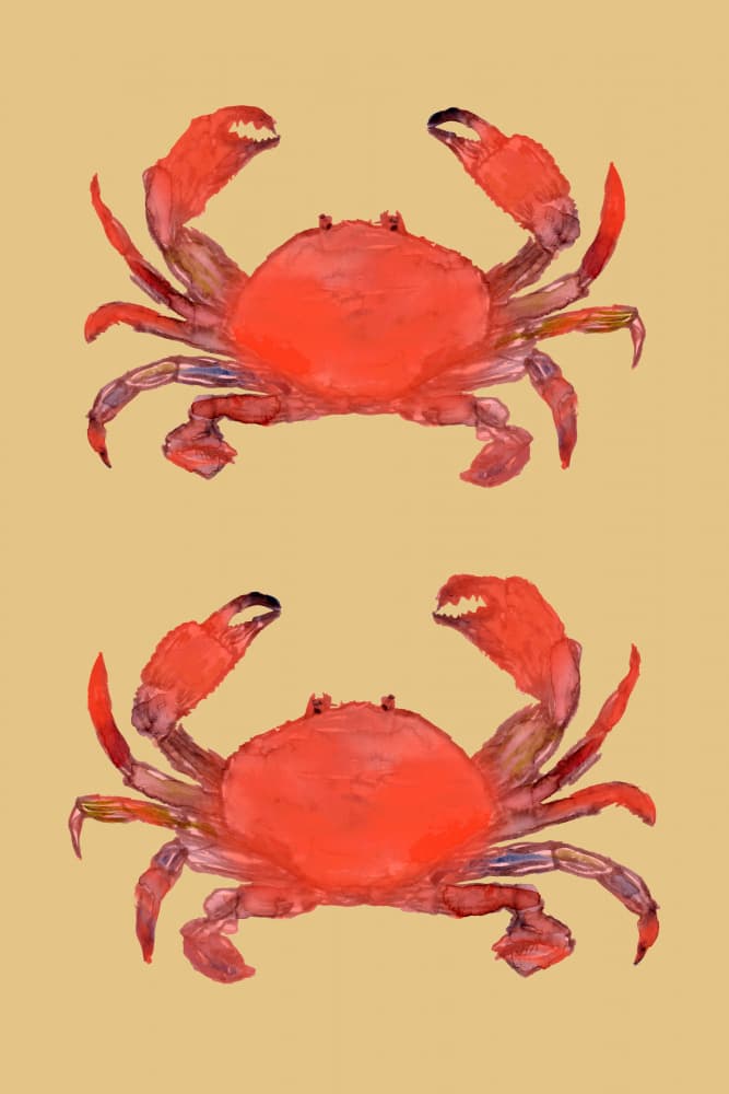 Vibrant Red Crabs by cartissi — canvas wall art