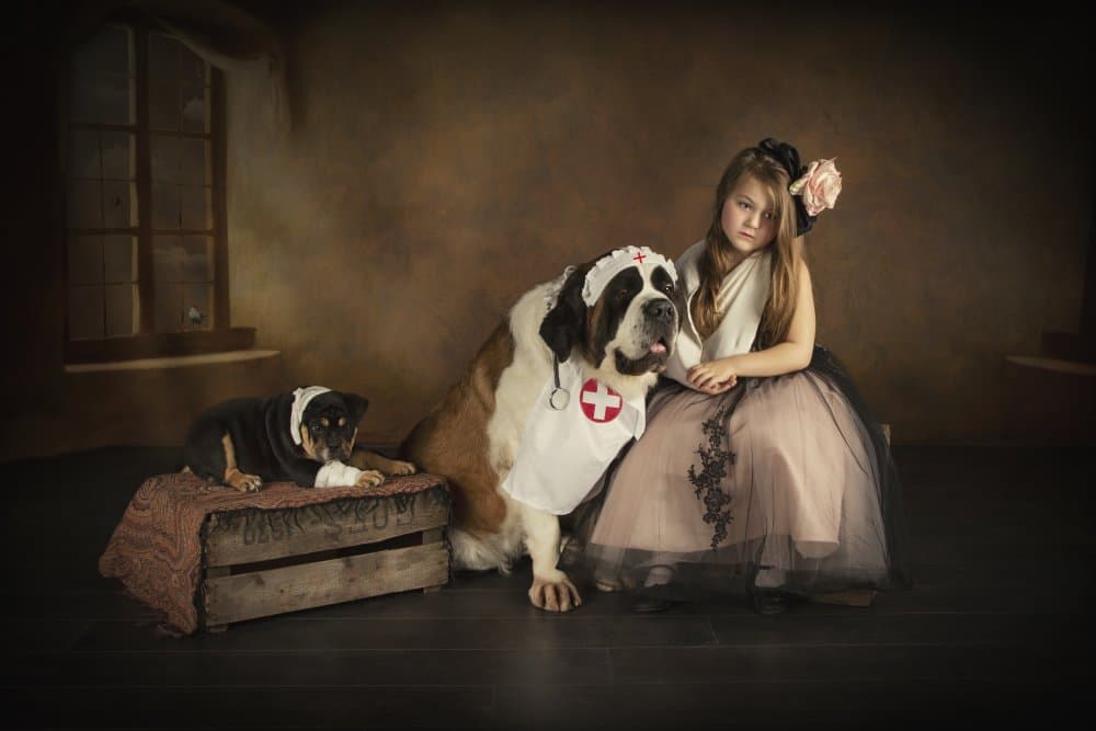 Playful Little Nurse Dogs by Carola Kayen-Mouthaan — canvas wall art