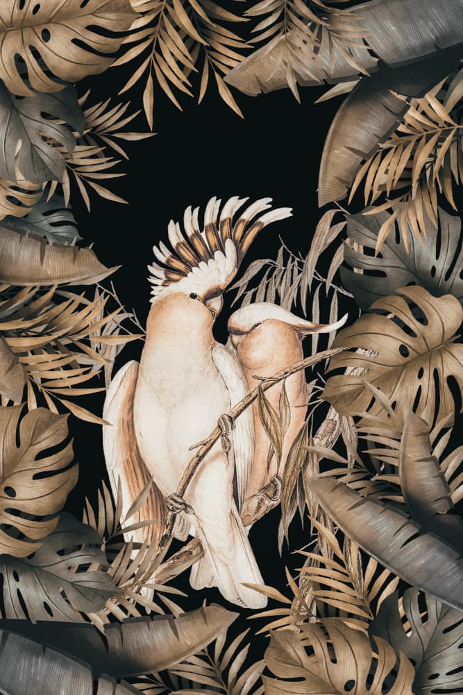 Loving Cockatoo Pair by Andrea Haase — canvas wall art