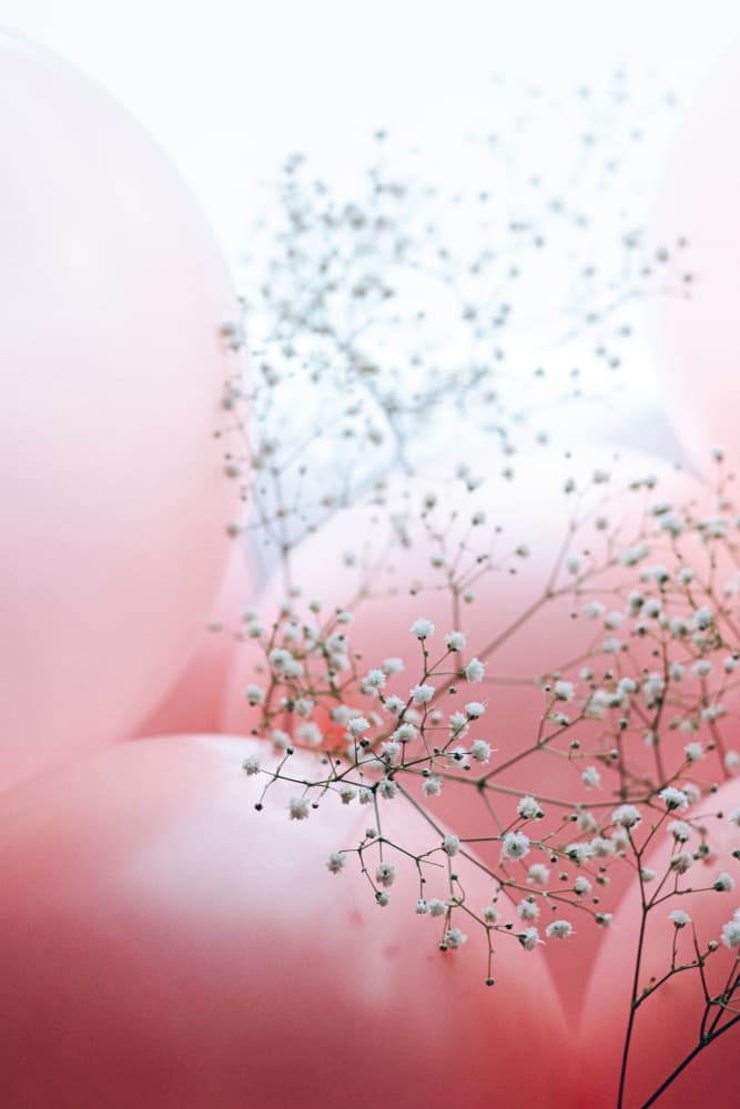 Delicate Balloons with Flower by uplusmestudio — canvas wall art