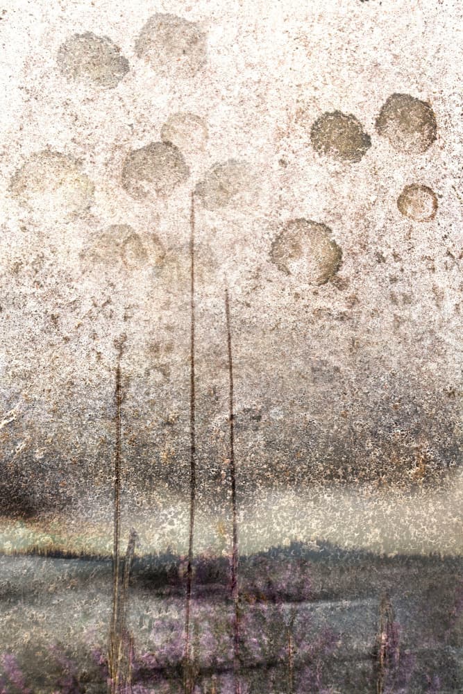 Textured Lake Reeds by Christina Sillen — canvas wall art