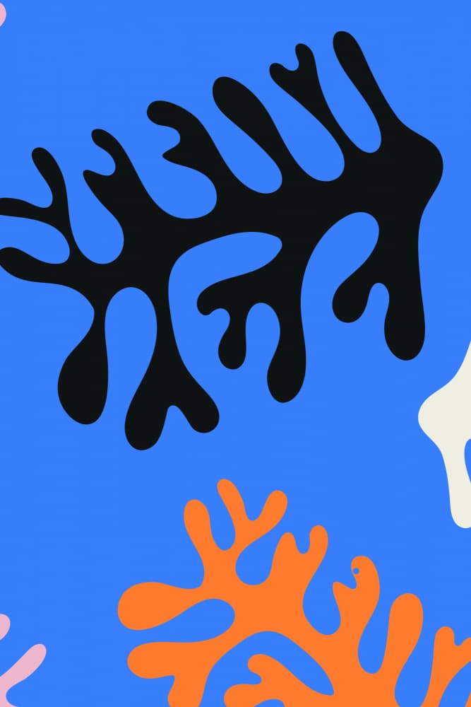 Abstract Coral Life by jay stanley — canvas wall art