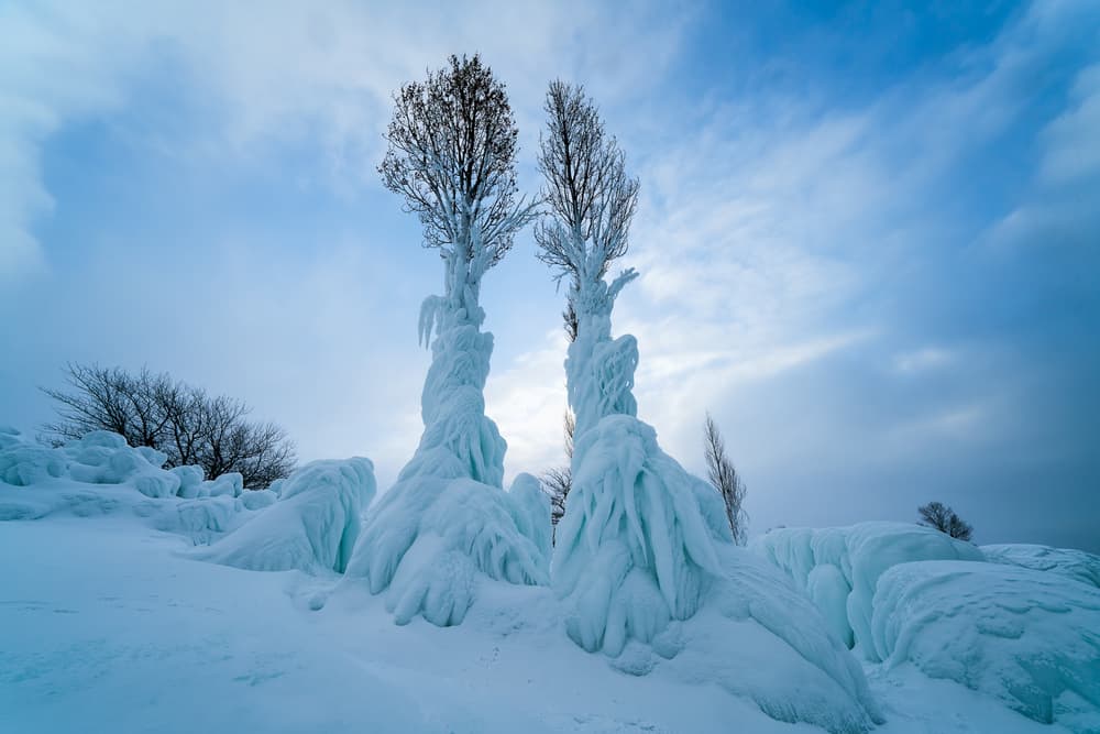 Frozen Winter Trees by John Fan — canvas wall art