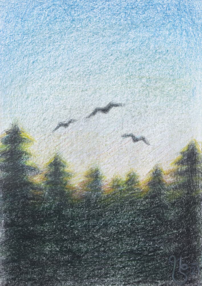 Serene Forest Flight