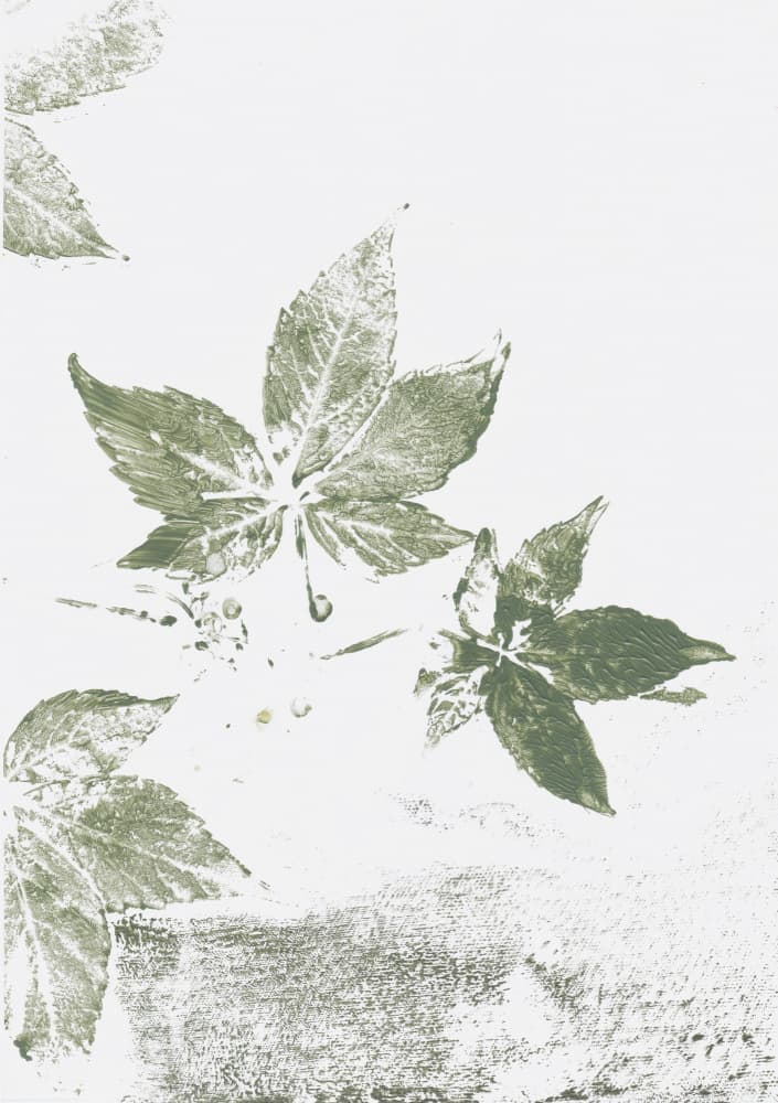 Green Leaf Impressions