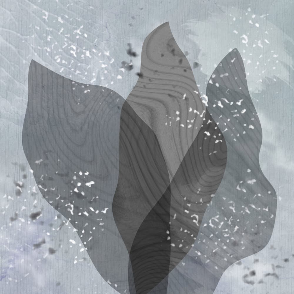 Muted Organic Shapes by Martina — canvas wall art