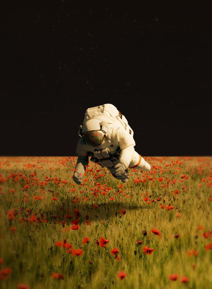 Astronaut's Poppy Dream by Fran Rodríguez — canvas wall art