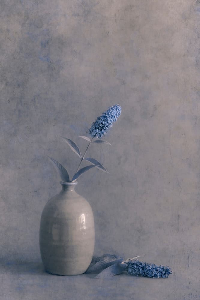 Elegant Blue Flower Vase by Cicek Kiral — canvas wall art