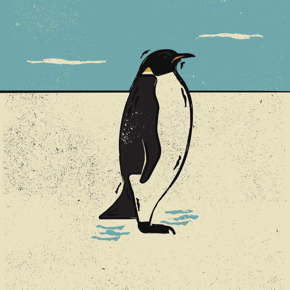 Emperor Penguin On Ice by The Creating Mind — canvas wall art
