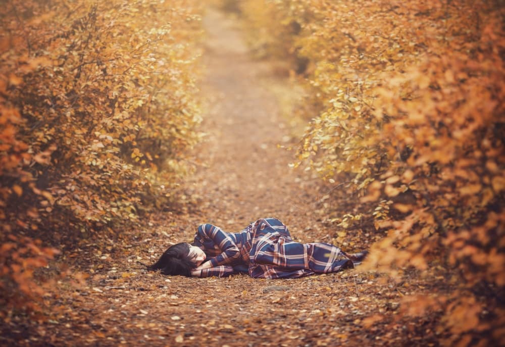 Autumn Path Solitude by Tatiana Koshutina — canvas wall art