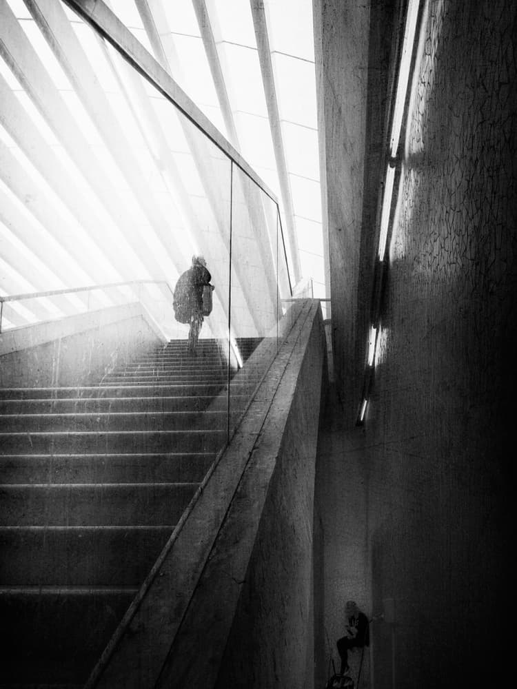 Steps Into Light by Laura Mexia — canvas wall art