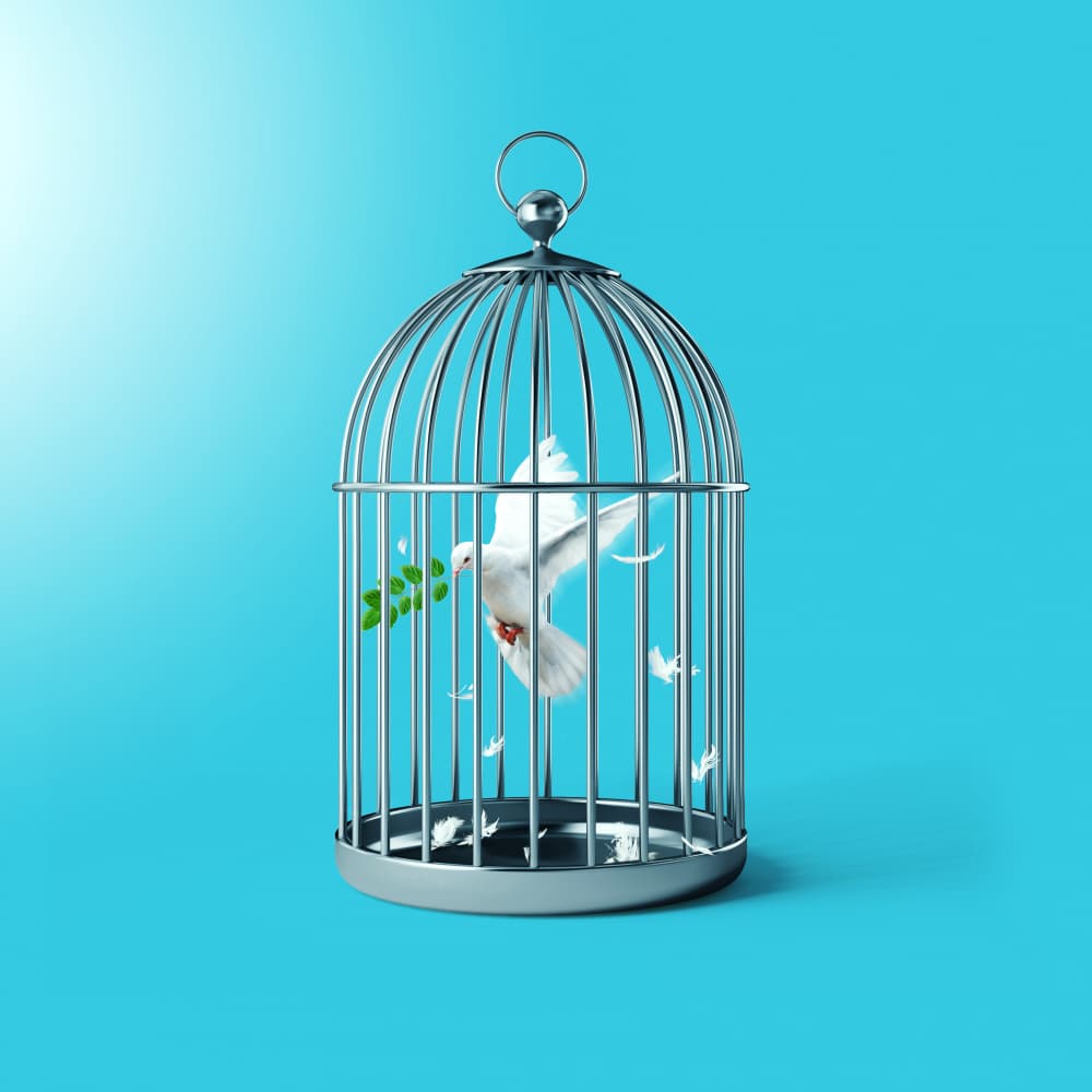 Peace Dove Freedom by Artem Pozdniakov — canvas wall art