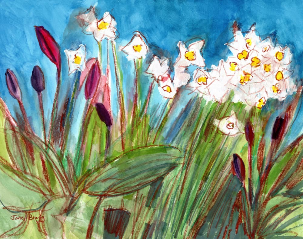 Vibrant Spring Daffodils by Janel Bragg — canvas wall art