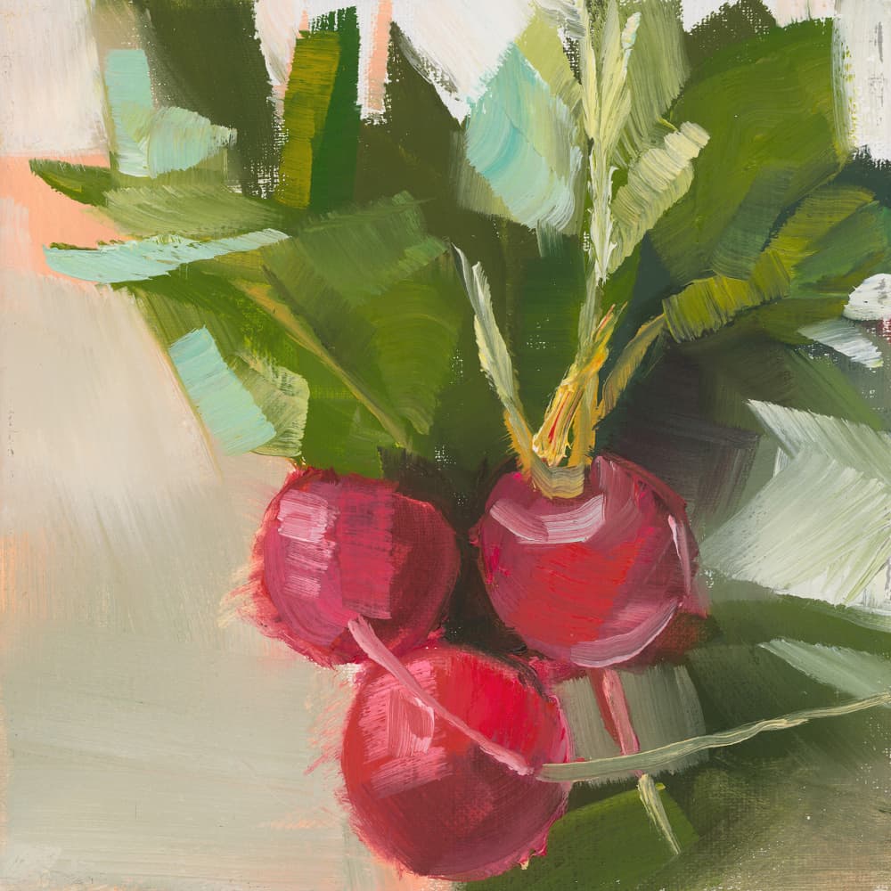 Radishes by Jenny Westenhofer — canvas wall art