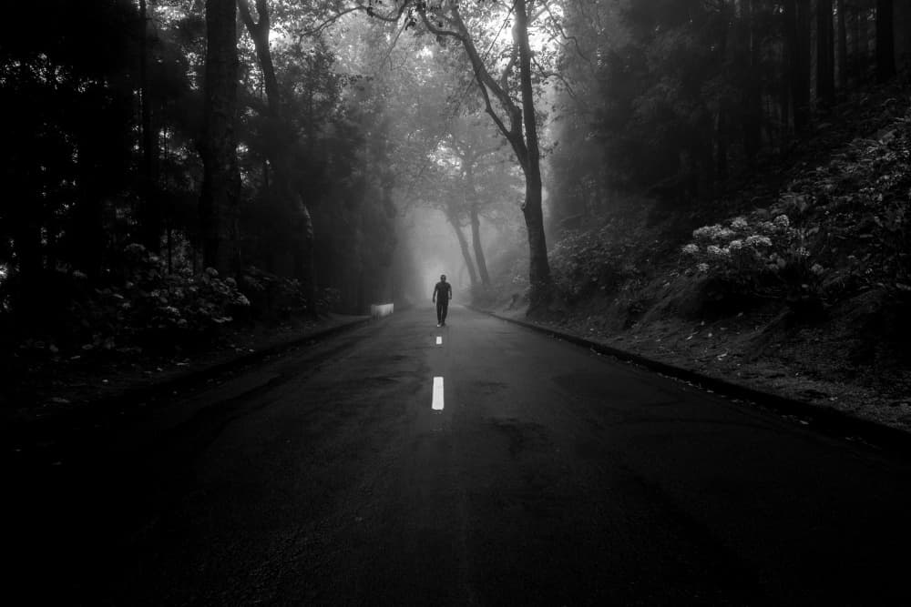 Lone Figure Foggy Road by Paulo Jorge — canvas wall art