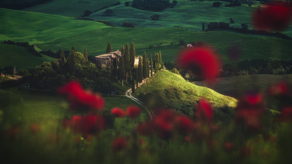 Tuscan Villa Poppies by Jean Claude Castor — canvas wall art