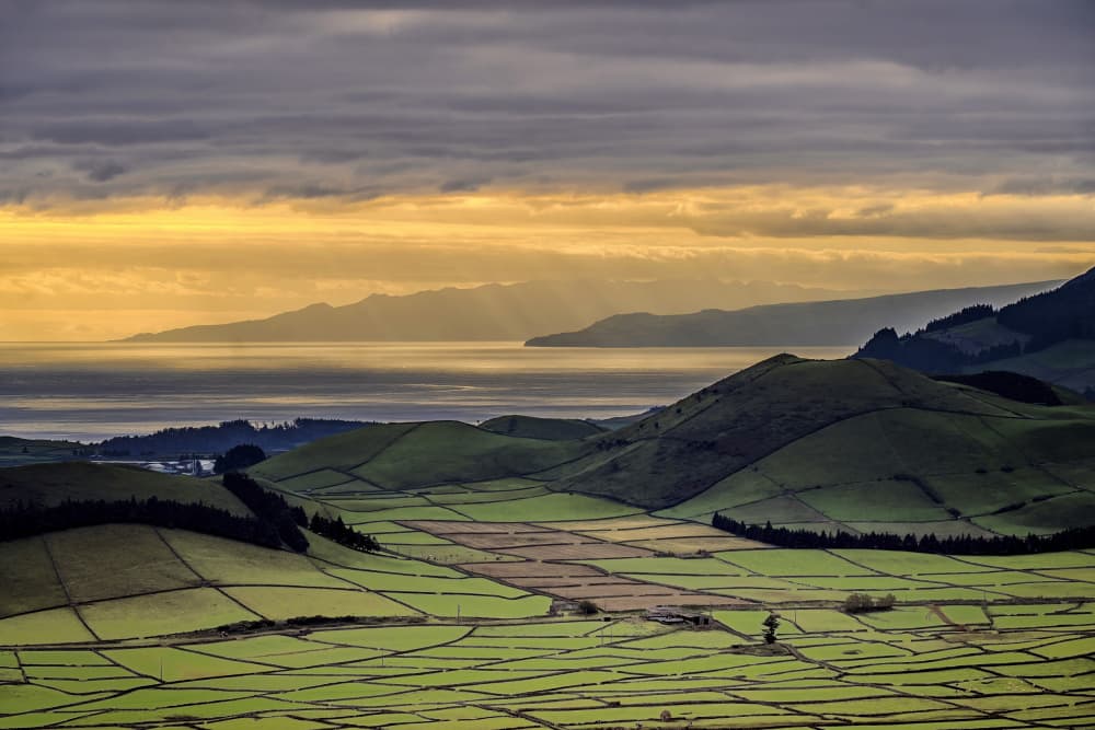 Golden Light Over Green Fields by Fernando Abreu — canvas wall art