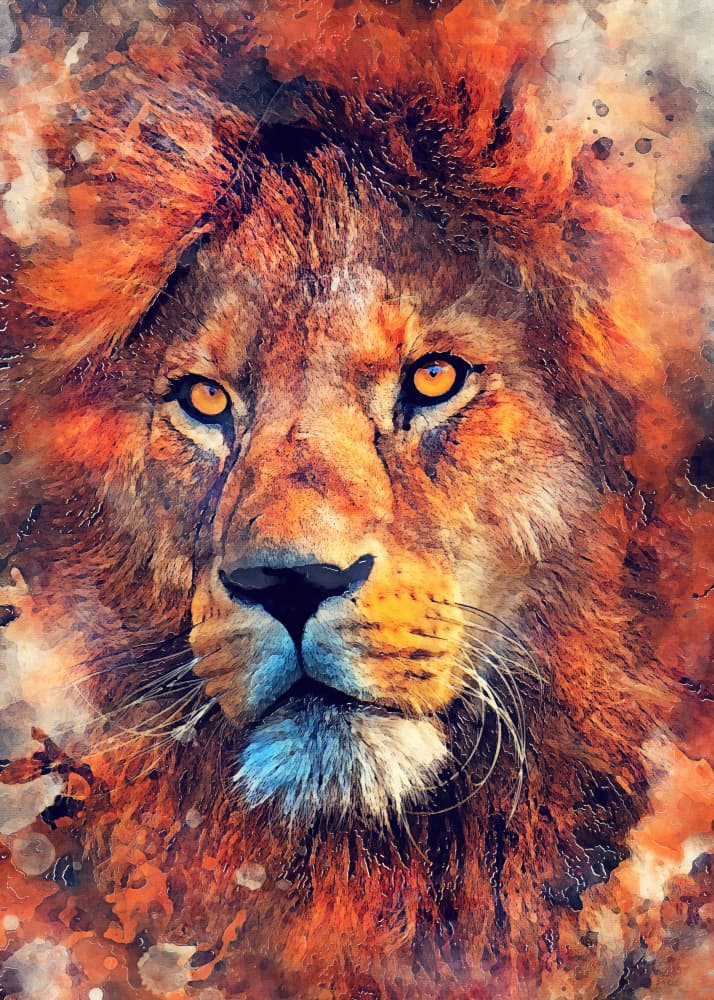 Fierce Lion Watercolor by Justyna Jaszke — canvas wall art
