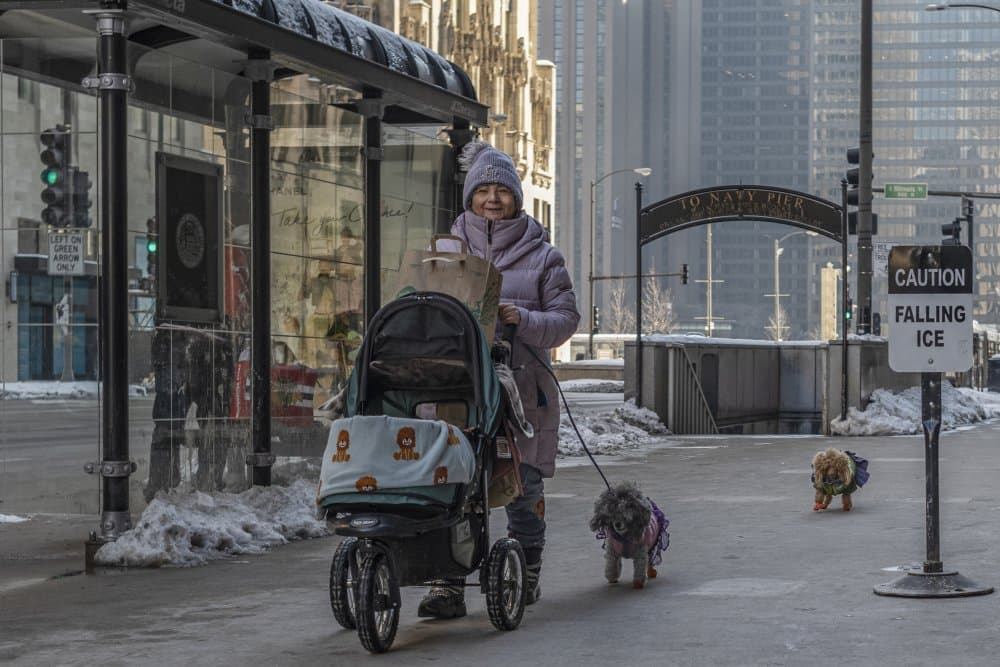 Winter City Walk by Wendy Fischer Hartman — canvas wall art