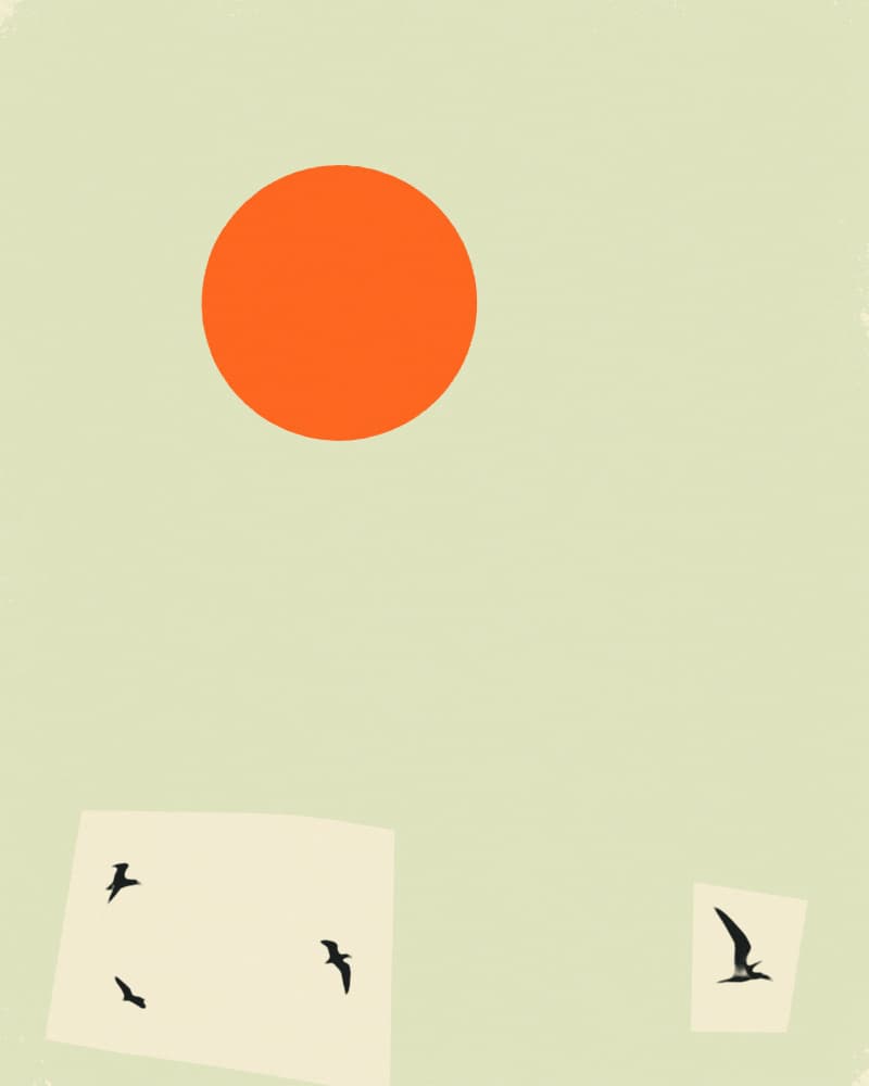 Orange Sun Flying Birds by Jazzberry Blue — canvas wall art