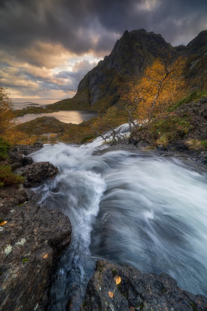 Golden Autumn Mountain River by Adam Pachula — canvas wall art