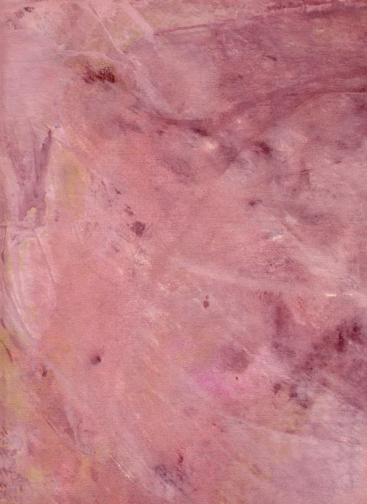 Blush Pink Flow by Mareike Böhmer — canvas wall art