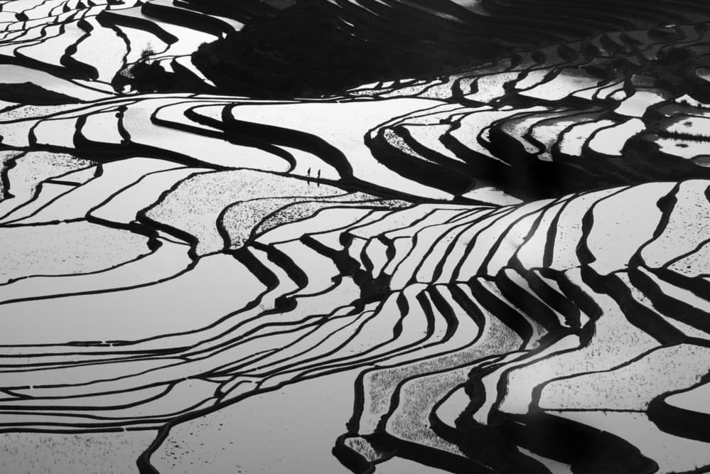 Serene Rice Terraces by Simoon — canvas wall art
