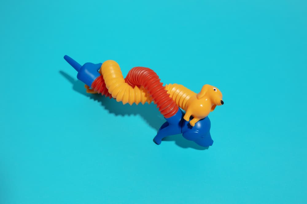 Colorful Pop Tube Dog by Julia Ramiro — canvas wall art