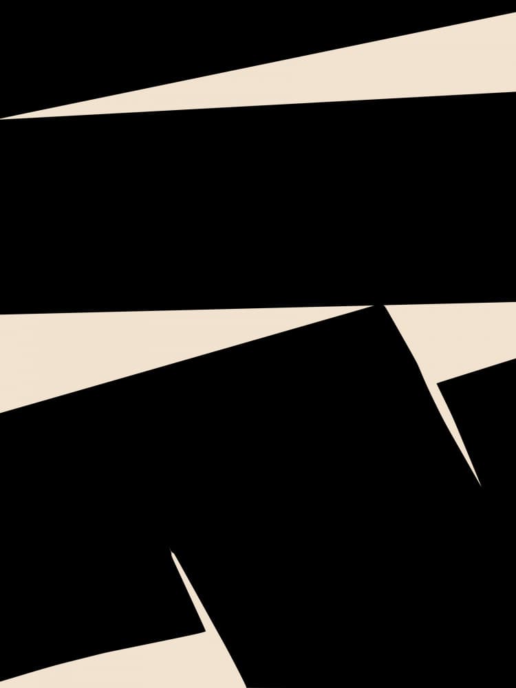 Abstract Black Beige Shapes by Little Dean — canvas wall art