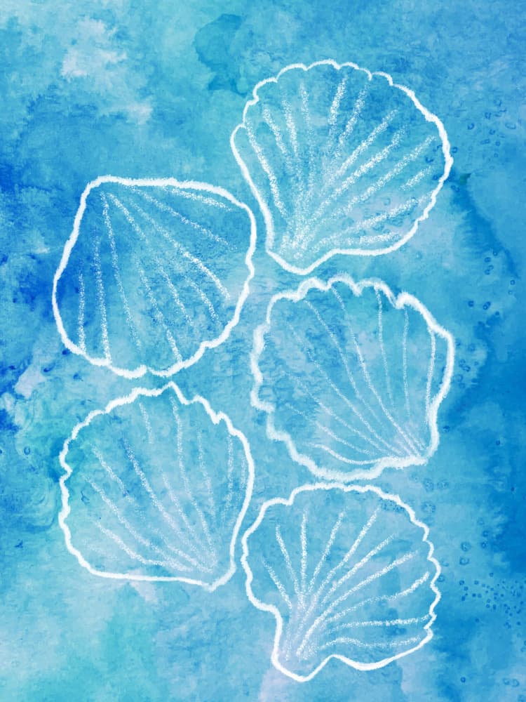 Watercolor Sea Shells by Aliya Putrus — canvas wall art