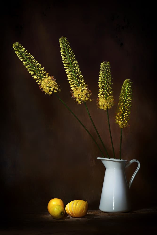 Yellow Flowers and Lemons by Saskia Dingemans — canvas wall art