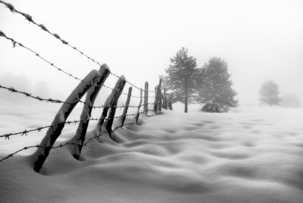 Misty Winter Fence by Alessandro Accordini — canvas wall art