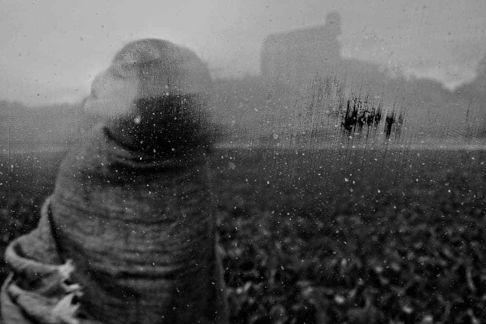 Rainy Window Solitude by Shinji Isobe — canvas wall art