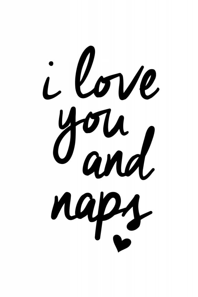 Love You And Naps by Brett Wilson — canvas wall art