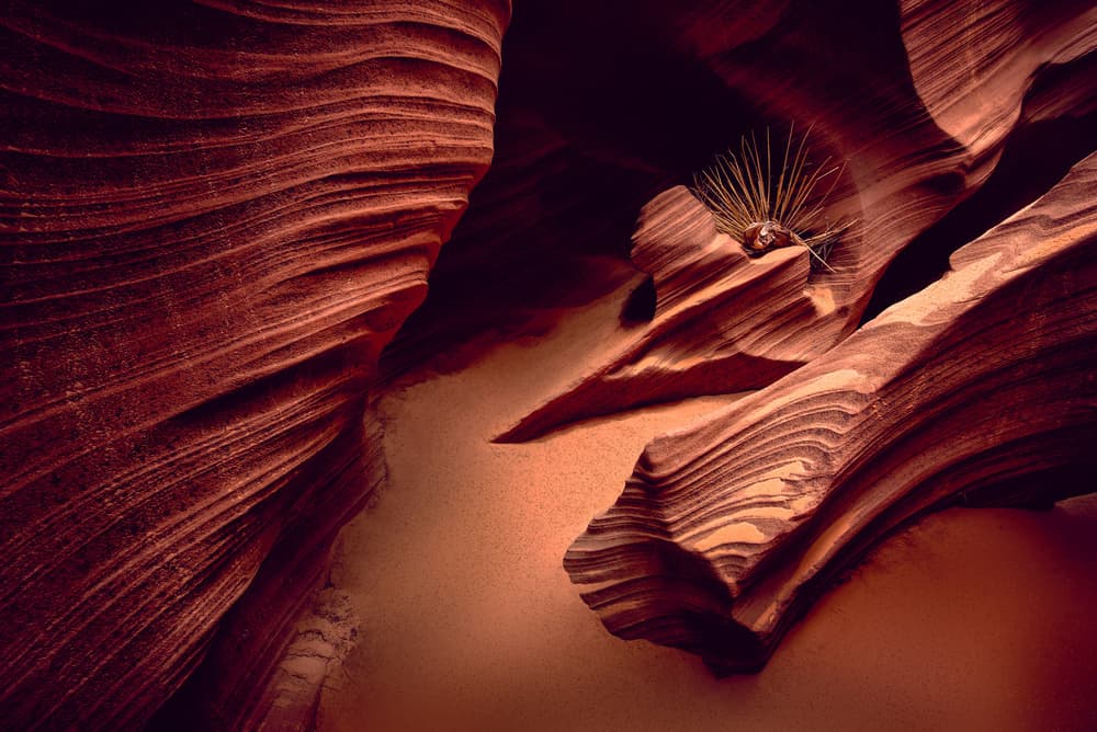 Slot Canyon Flow by Mike Kreiten — canvas wall art