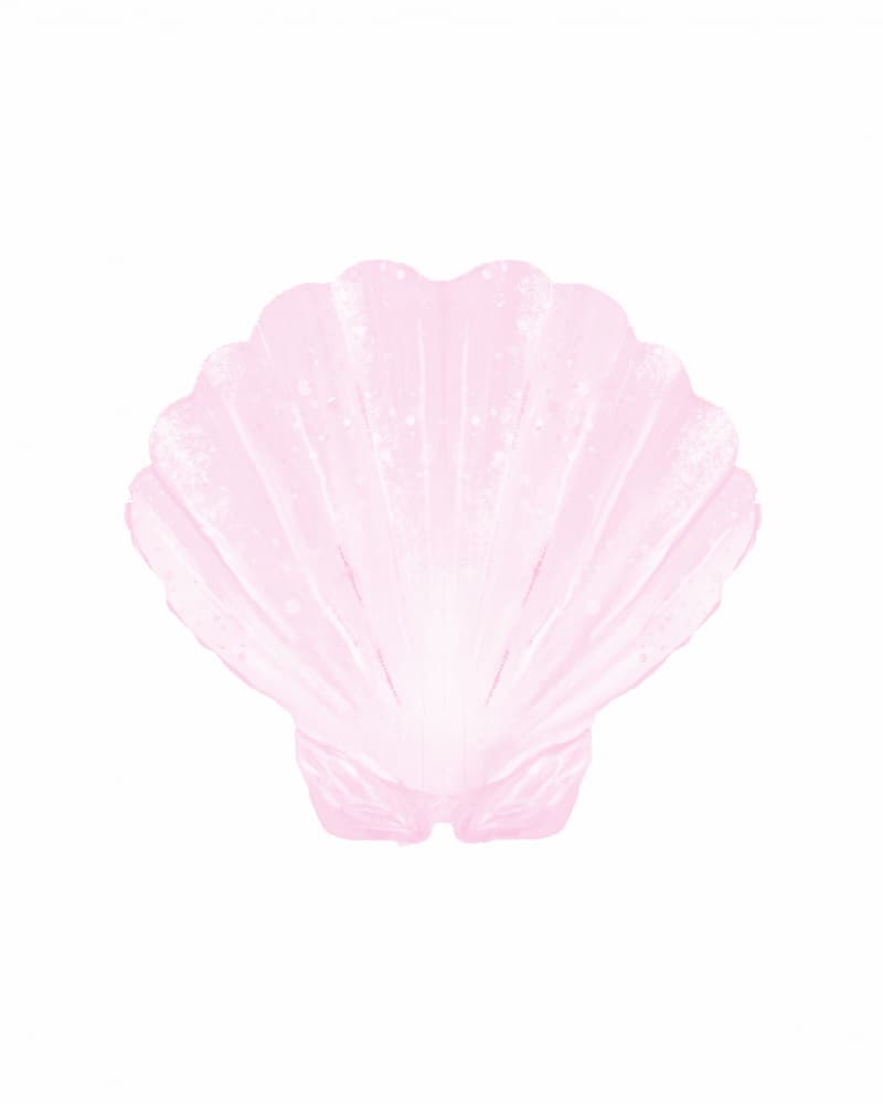 Soft Pink Scallop by Josie George — canvas wall art