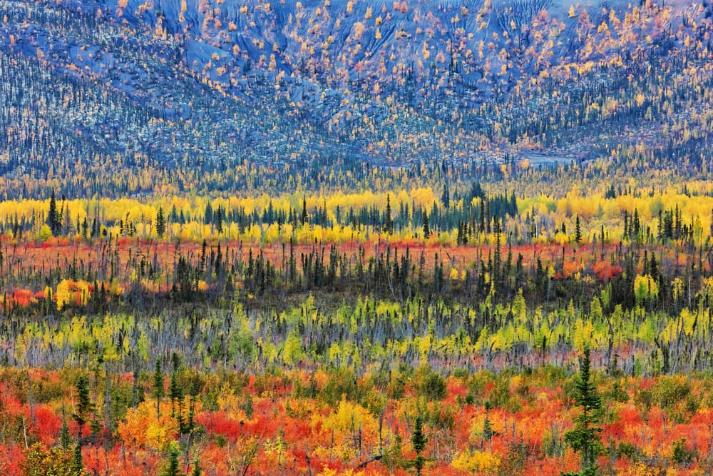 Autumn Mountain Layers by Jun Zuo — canvas wall art