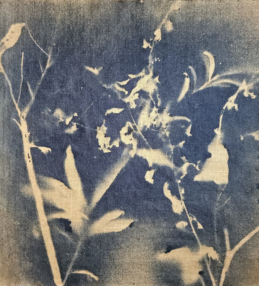 Blue Botanical Silhouette by Stefano Mazzolini — canvas wall art